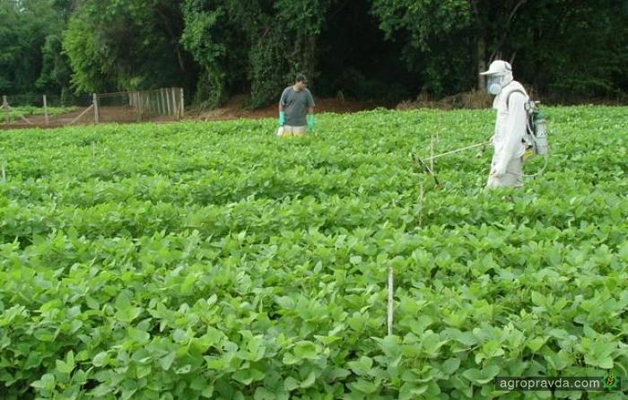  Фумигаторы просят урегулировать обращение с пестицидами