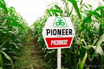 В DuPont Pioneer рассказали как выводят новые сорта гибридов