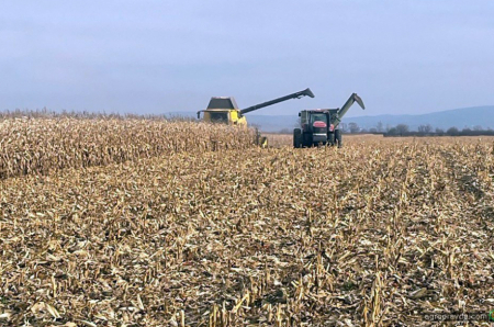 Як працюють роторний комбайн та кукурудзяна жниварка New Holland