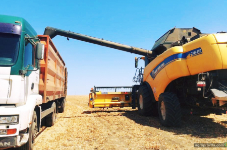 Жнива на Півдні — в самому розпалі. Як працюють комбайни New Holland