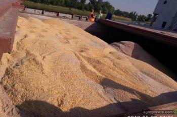Из Украины пытались вывезти 7,4 тыс. тонн кукурузы по поддельным документам