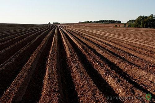 В Винницкой области на торги выставили 17 участков сельхозземель