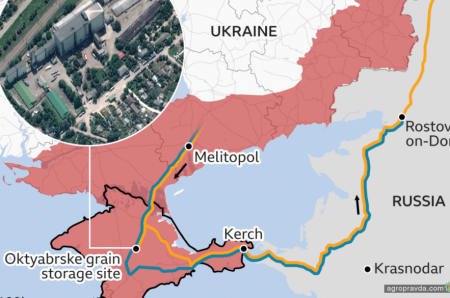 Куди росія вивозить вкрадене з України зерно