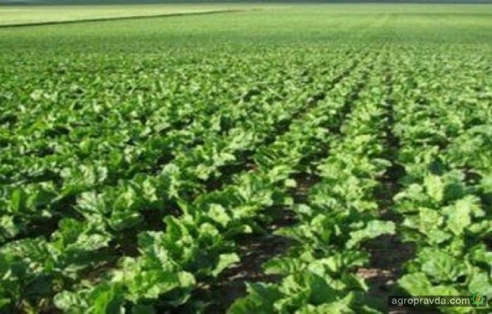 Украина за полгода снизила агропроизводство почти на 10%