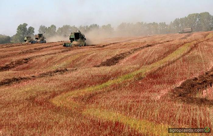 Как изменилась зарплата аграриев в Украине 