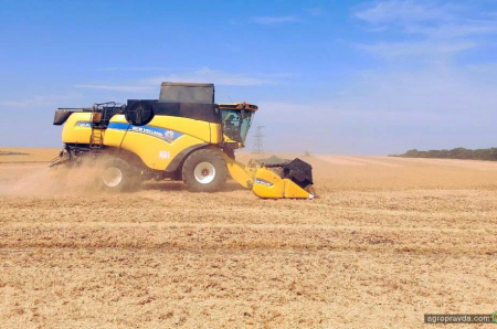 Жнива на Півдні — в самому розпалі. Як працюють комбайни New Holland