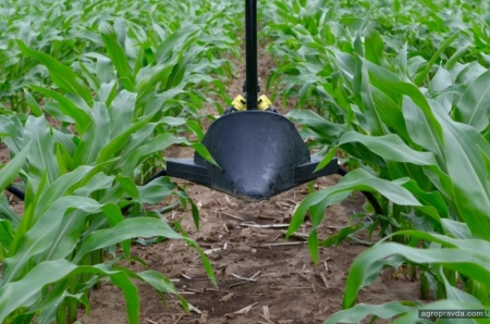 12 способів підвищити врожайність кукурудзи
