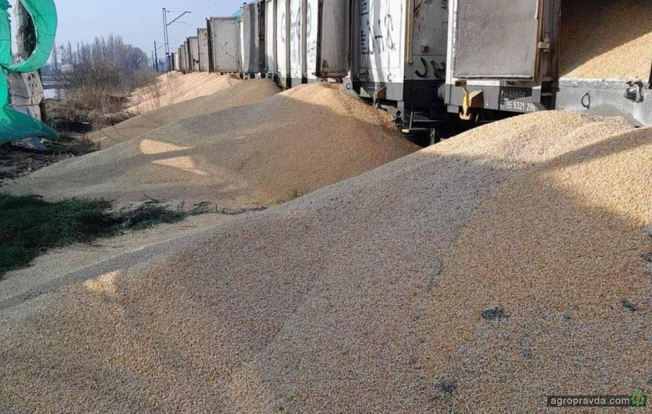 Польські протестувальники пошкодили одразу 160 тонн українського зерна