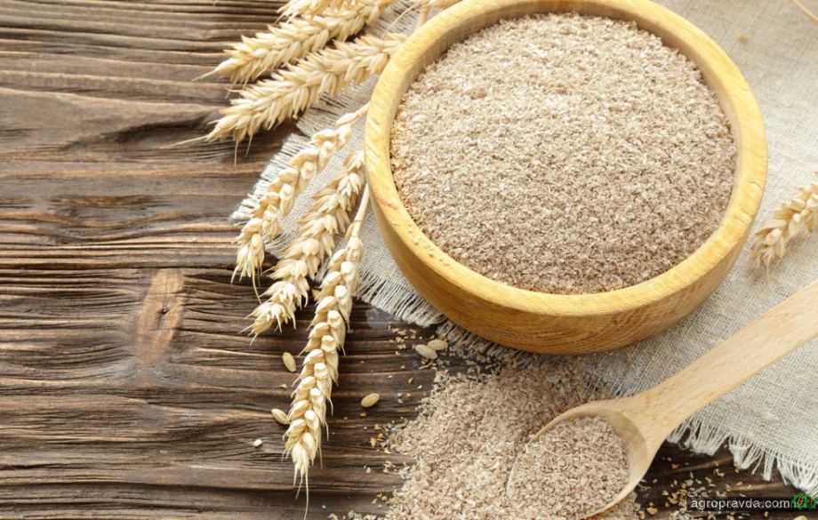 Українські переробники знову підвищують ціни на пшеничні висівки