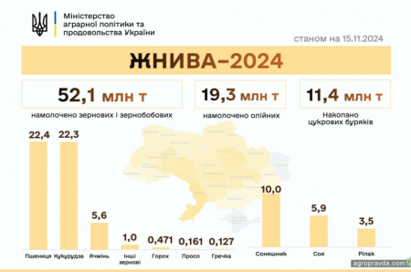 Підсумки жнив 2024 року. Скільки зібрали?