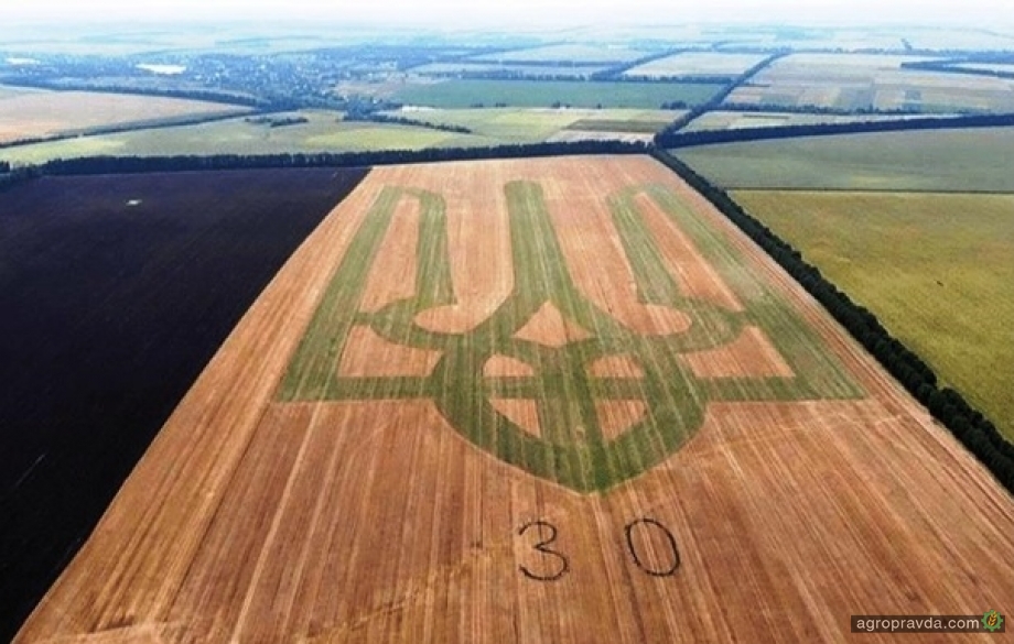 Фермеры на поле создали рекордный герб Украины