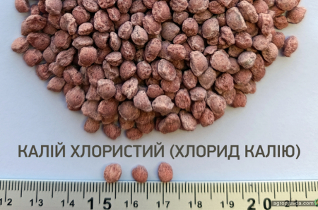 В Україні запустили виробництво нової гранули NPK для точного землеробства