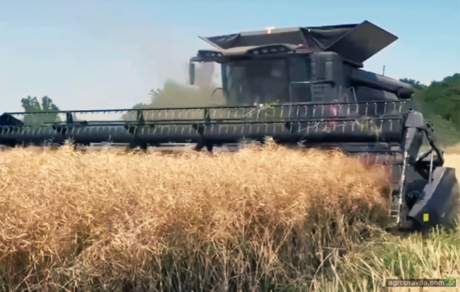 Як працює на збирання ріпаку комбайн Fendt IDEAL 7