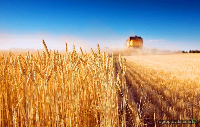 Сколько зерна собрали на Донбассе