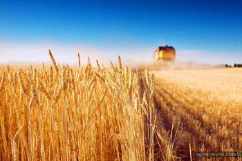 Уходящий год станет рекордным по производству зерна в мире