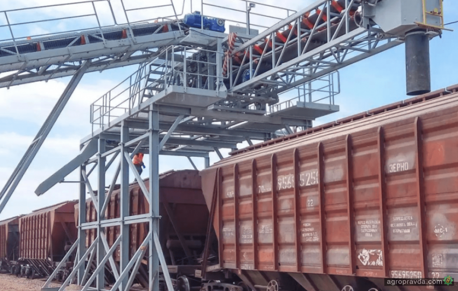 За тиждень вивантаження зерна у портах Великої Одеси скоротилося на понад 100 вагонів