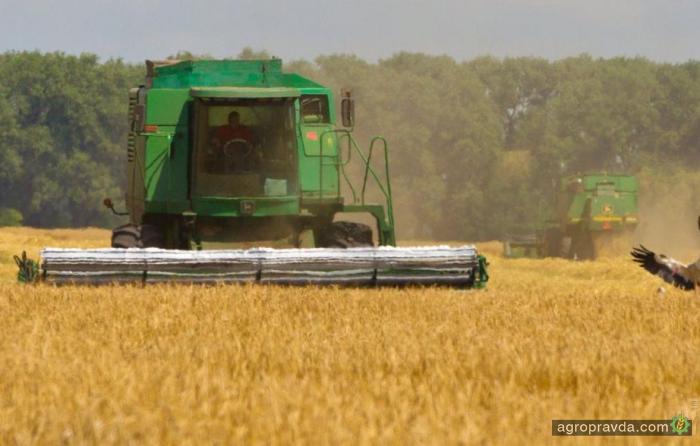Запасы зерна в Украине увеличились на четверть