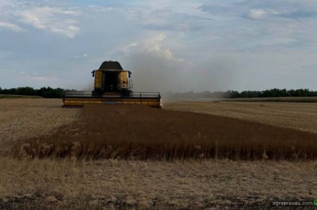 Демо-жнива з New Holland тривають на Кіровоградщині