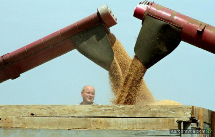 Экспорт достиг почти 1,5 млн тонн зерна
