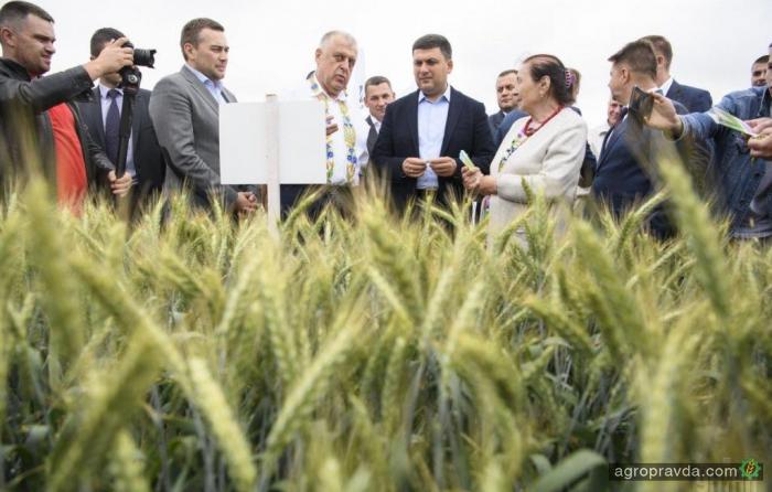 Украинский агроэкспорт вырос почти на 50%