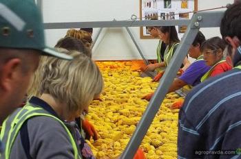Как DuPont производит гибриды кукурузы: экскурсия на завод