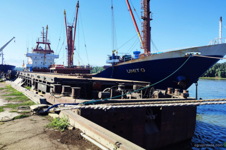 Стали відомі минулорічні обсяги експорту зернових та олійних культур групи АГРОТРЕЙД