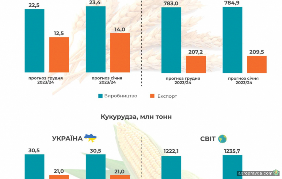 USDA збільшив прогнози обсягів виробництва та експорту української пшениці 