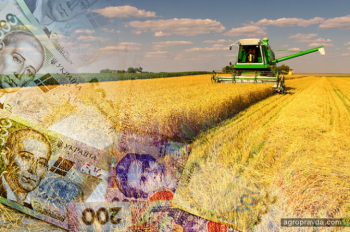 Украинские агрокомпании борются с угрозой кадрового коллапса