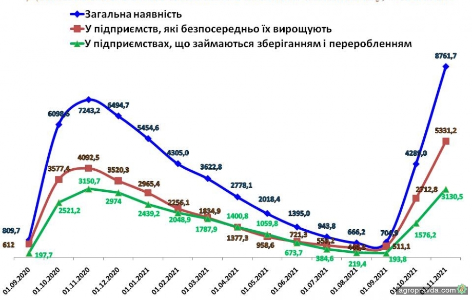 Производство масличных в Украине вырастет более чем на 20%