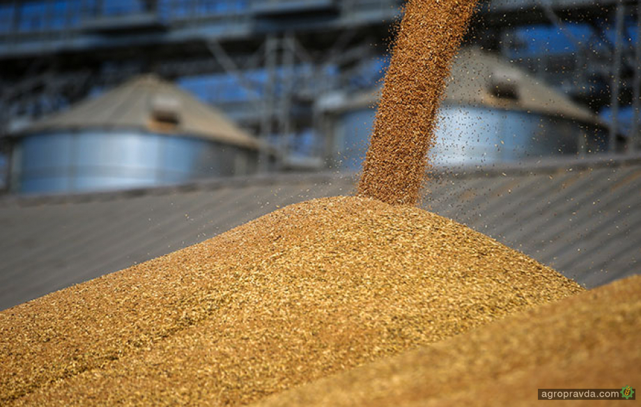 Експорт зерна у новому сезоні досяг 0,5 млн тонн