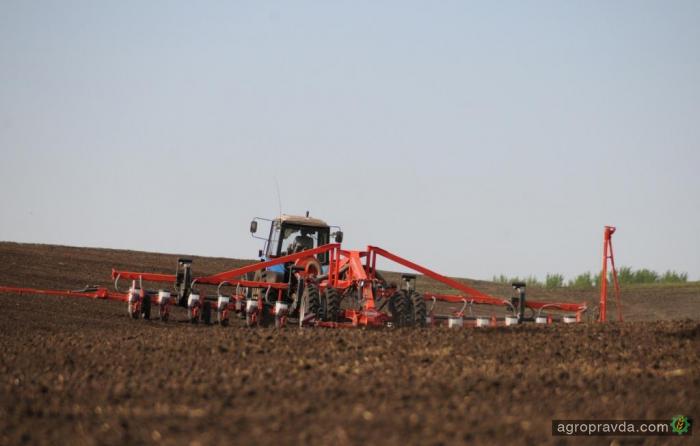 В Украине начат сев озимой пшеницы, ячменя и ржи