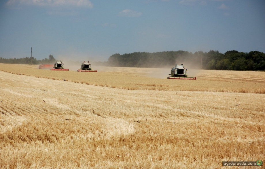 В Украине собрано рекордные 74 млн. тонн зерновых