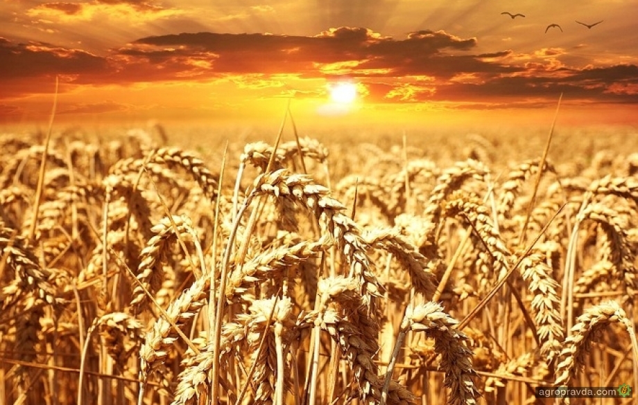 АИС осуществила новую поставку партии сельхозтехники агрофирме «Свитанок»