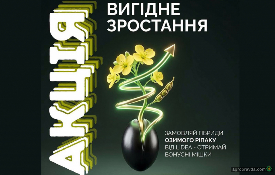 На озимий ріпак Lidea діє вигідна акція