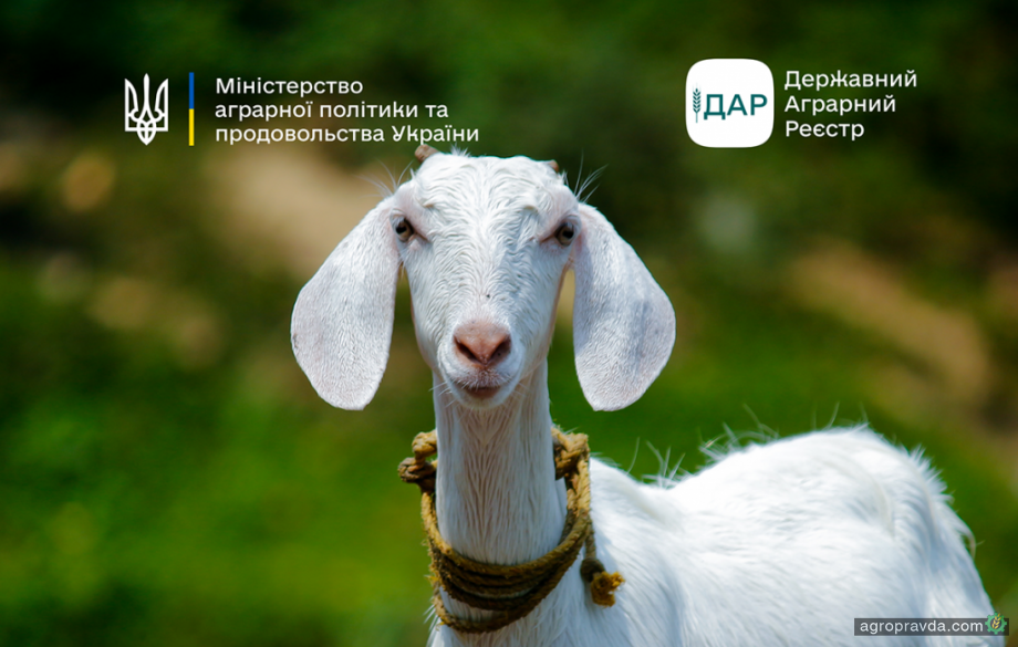 Аграрії можуть подати заявки на спеціальні бюджетні дотації Аграрії можуть подати заявки на спеціальні бюджетні дотації