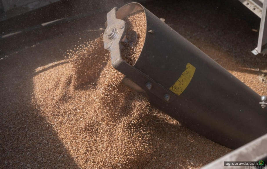 Найбільший світовий зернотрейдер відмовився торгувати зерном з Росії