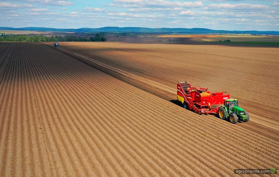 В Украине ускорились темпы роста сельхозпроизводства 