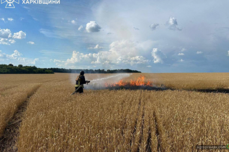 Росіяни навмисно намагаються підпалити поля з пшеницею