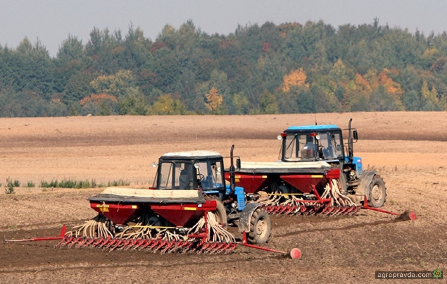 В Украине сформировались худшие за 10 лет условия для сева озимых