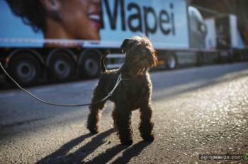 Компания Volvo Trucks снимает реалити-шоу по дорогам Европы
