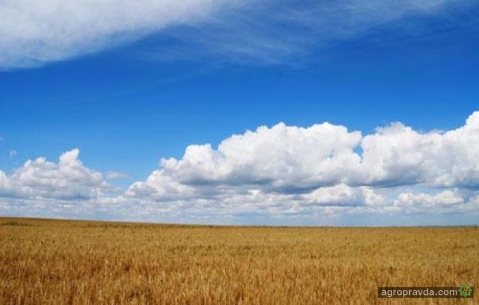 В Украине растет сельхозпроизводство