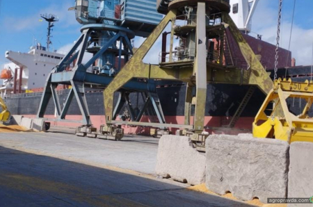 В Рені завантажують зерном балкер рекордної вантажопідйомності