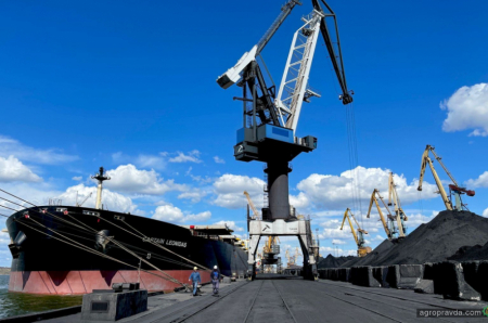 Рекордні 195,7 тисяч тонн на одному судні експортували з порту «Південний»