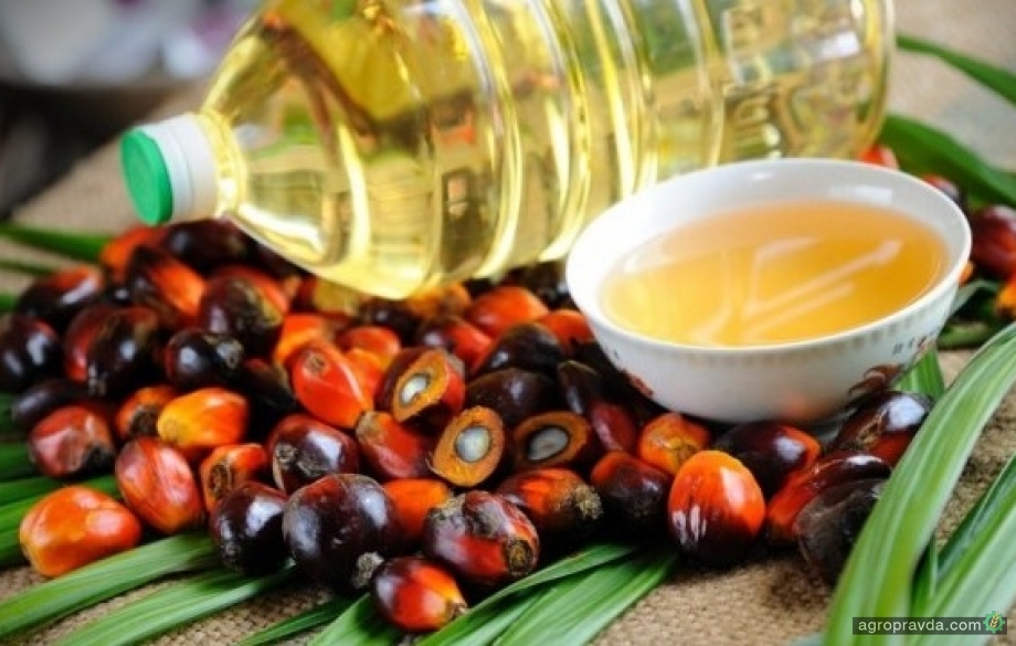 Ціни на соєву та пальмову олію знизилися 