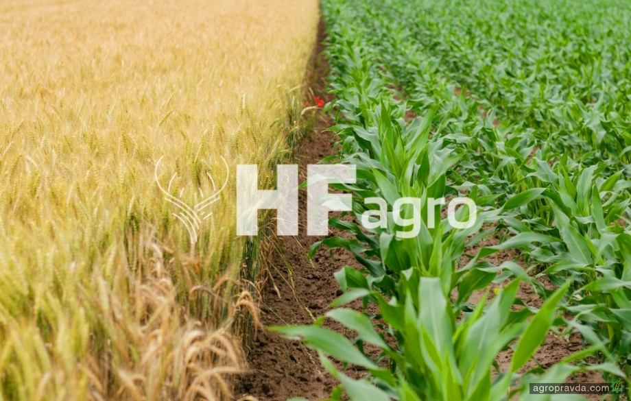 Компанія HF Agro активно розвивається та підтримує українську економіку