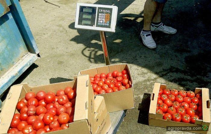 В Севастополе нашли и уничтожили 6 ящиков турецких помидоров. Фото