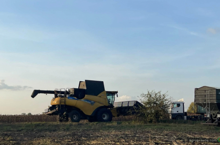 Один день жнив соняшника на полі у Чернігівщині