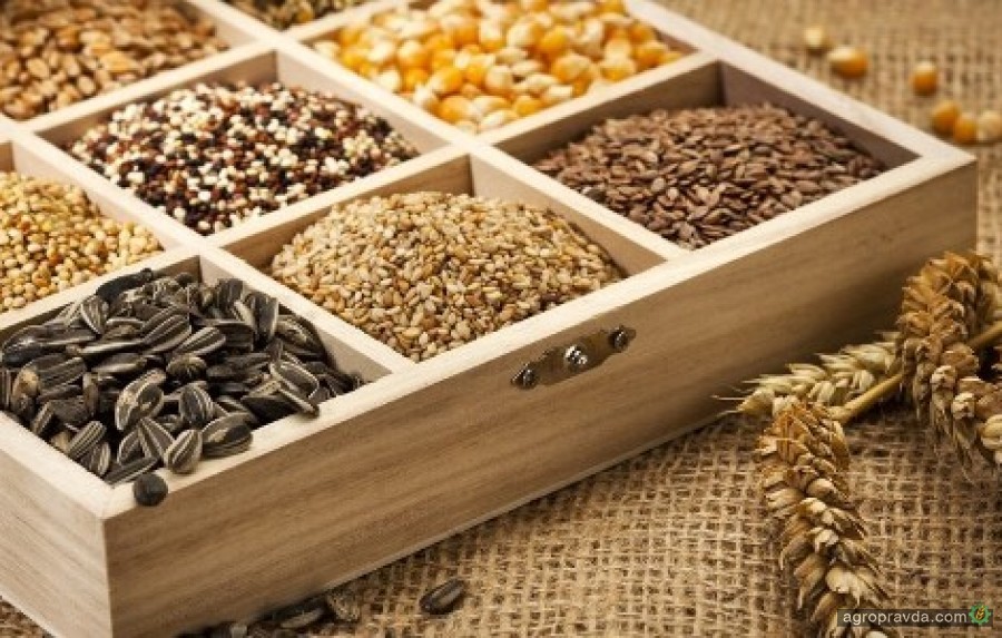 Украина могла бы ежегодно экспортировать около 1 млн тонн семян зерновых для посева 