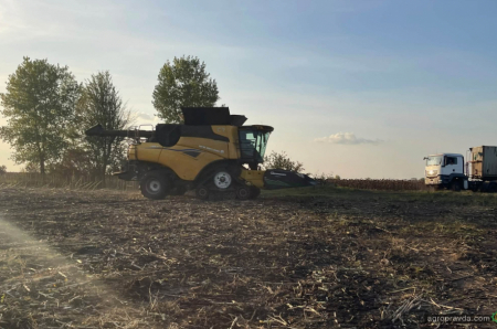 Один день жнив соняшника на полі у Чернігівщині
