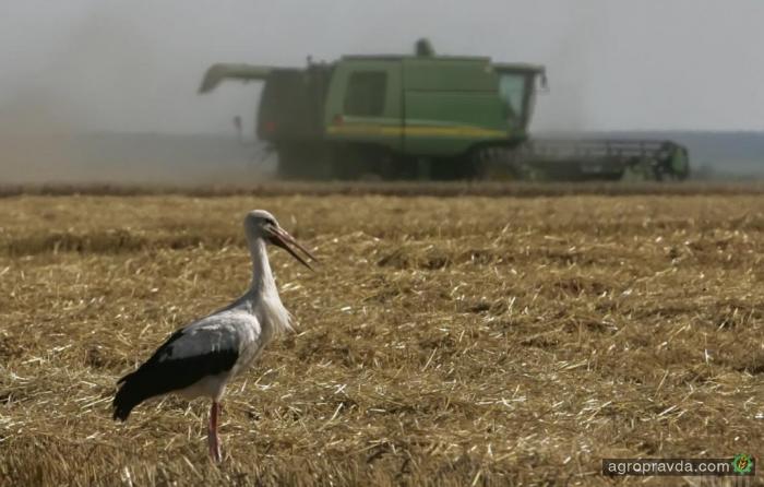 В Украине выросли цены реализации агропродукции